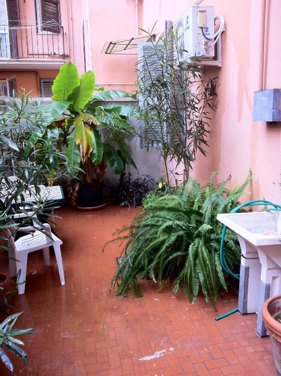 Ottimista Hotel Rome Exterior photo